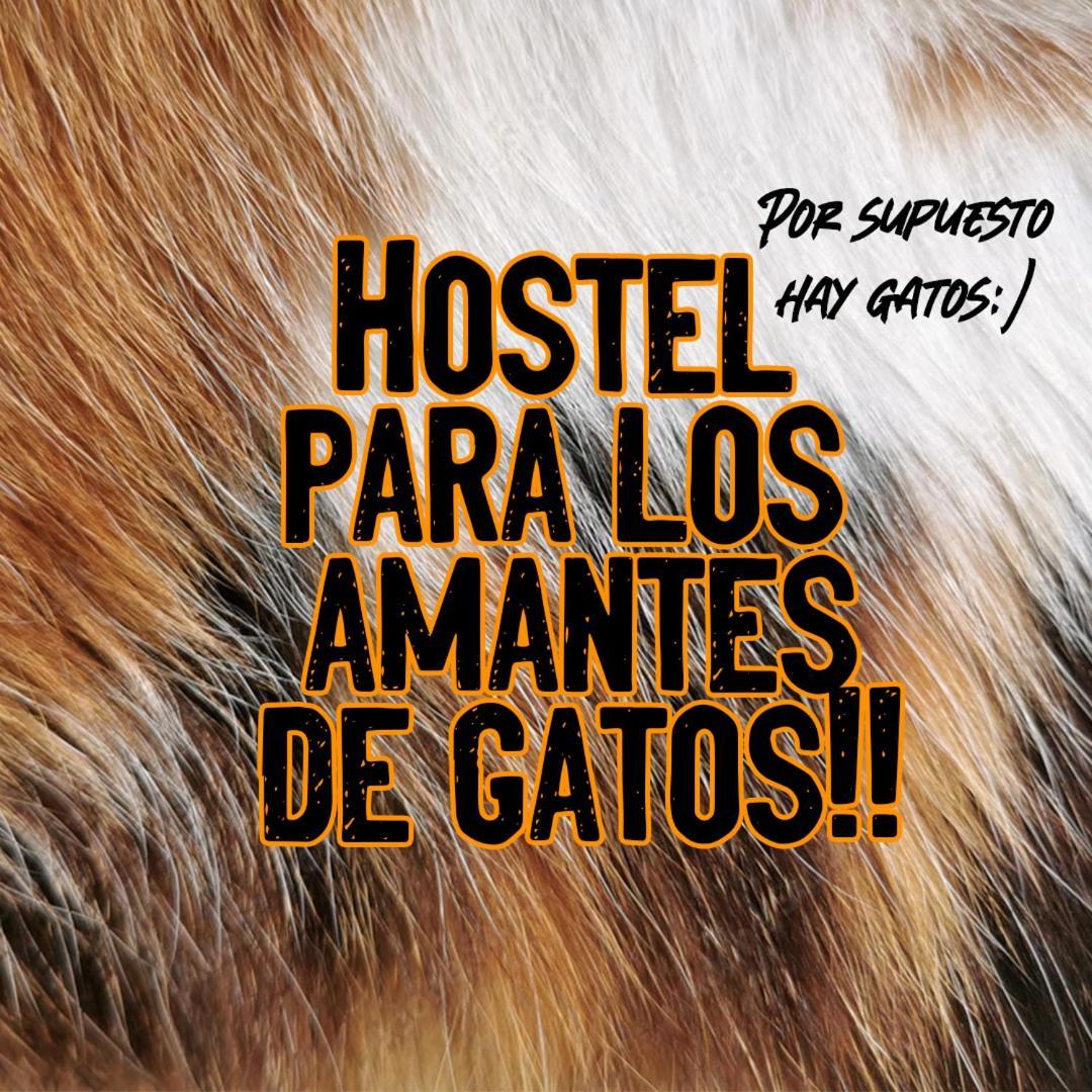 Bed and Breakfast Posada De Los Gatos Пуэрто-Наталес Экстерьер фото